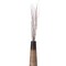 Brown Natural Decorative Dry Branches Authentic Willow Birch Sticks for Home Decoration and Wedding Craft